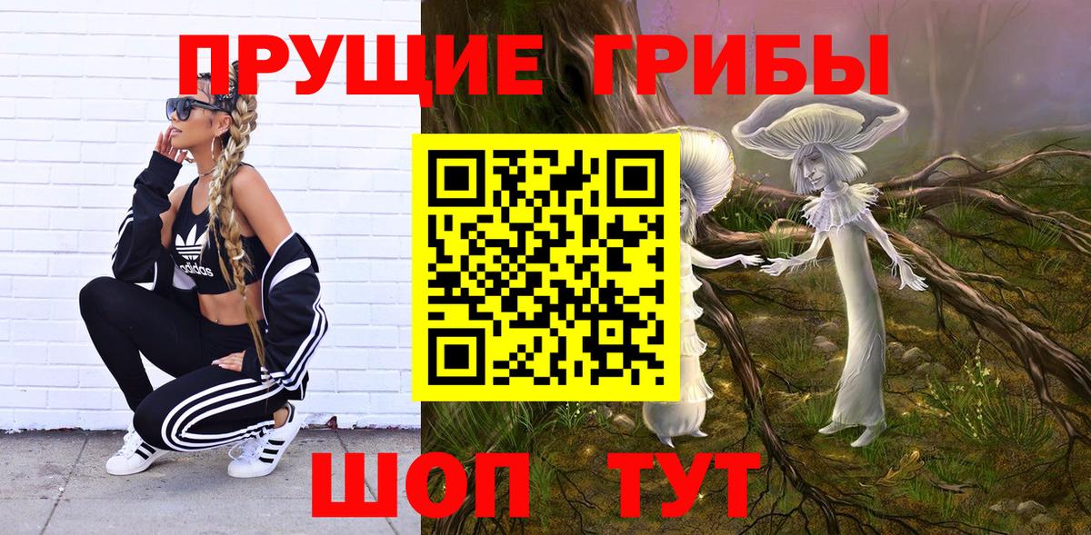 Галлюциногенные грибы Psilocybe Красноярск